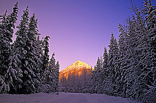 洋葱,山,日落,山峦,省立公园,不列颠哥伦比亚省,加拿大