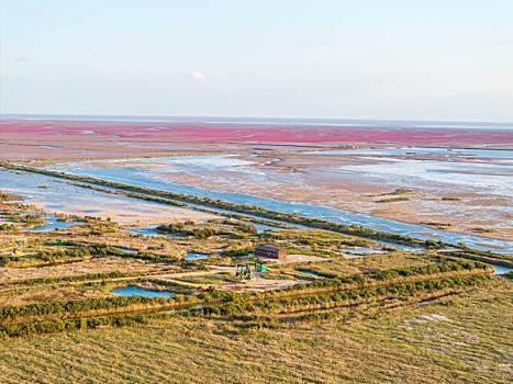 东营黄河口生态旅游区