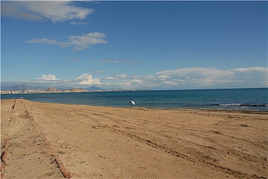西班牙,贝尼多姆,白色海岸