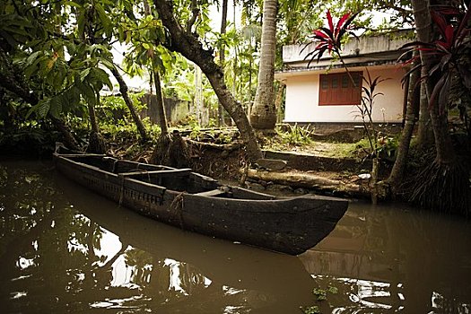 木质,独木舟,水上,高知,喀拉拉,印度