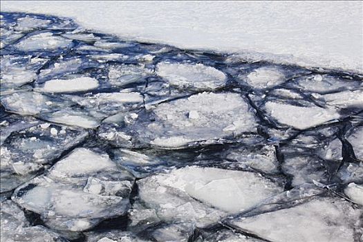 浮冰,安大略湖,岛屿,安大略省,加拿大