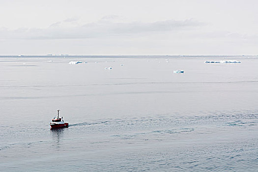 渔船,迪斯科湾,伊路利萨特,格陵兰