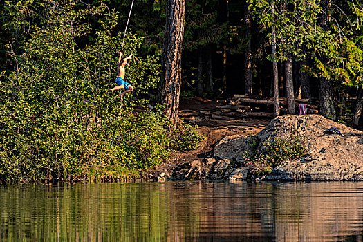 跳跃,树,绳索,夏天,冠军,湖,省立公园,不列颠哥伦比亚省,加拿大,大幅,尺寸