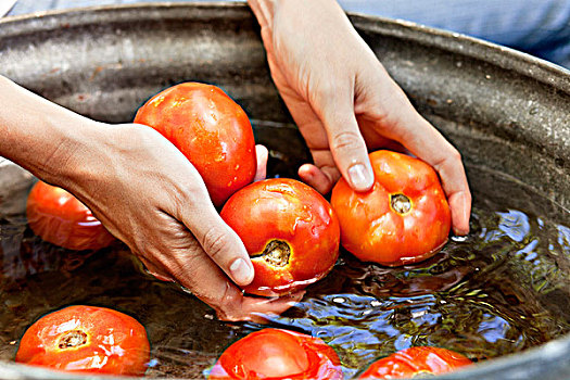 特写,女人,手,洗,西红柿