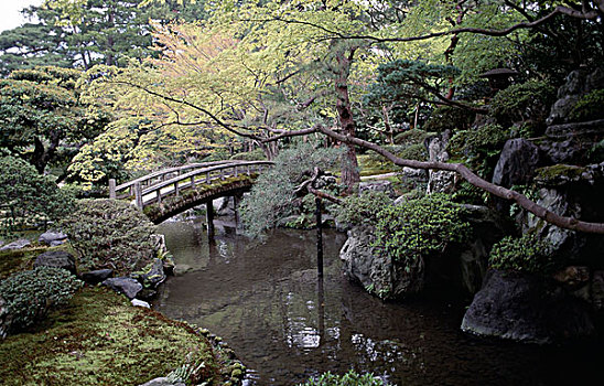 步行桥,花园,京都,皇宫,本州,日本