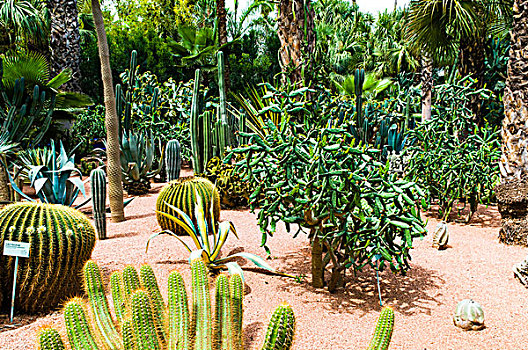 马若雷尔花园,玛拉喀什,摩洛哥