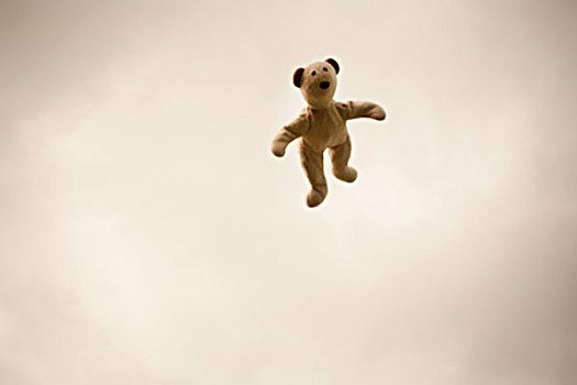 泰迪熊,半空中