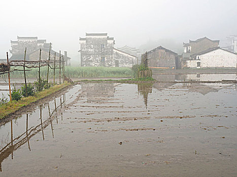 婺源西垣村田园风景