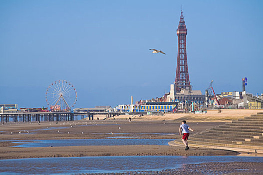 英格兰,兰开夏郡,布莱克浦,男孩,投掷,鹅卵石,海洋,海滩