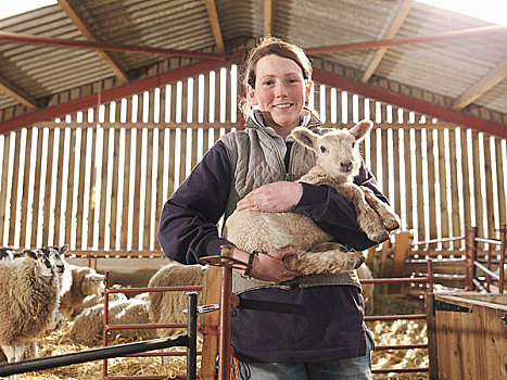 女性,农民,拿着,羊羔