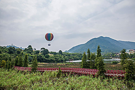 广东省深圳市大梅沙东部华侨城茶溪谷湿地落羽桥边的氦气球