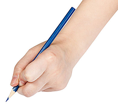手,蓝色,铅笔,隔绝,白色背景