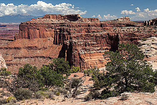 峡谷,俯瞰,侵蚀,风景,岩石构造,岛屿,空中,峡谷地国家公园,犹他,美国,北美