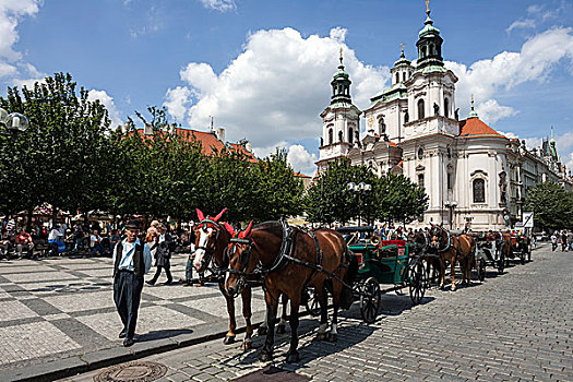 马,马车,老城广场,教堂,后面,布拉格,捷克共和国,欧洲