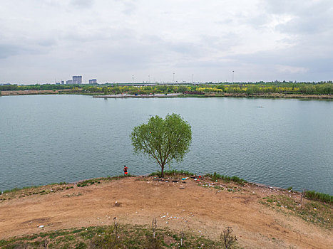 济南鹊山龙湖湿地