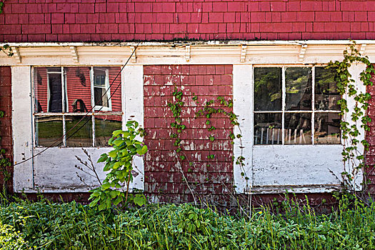 窗户,房子,维多利亚,爱德华王子岛,加拿大