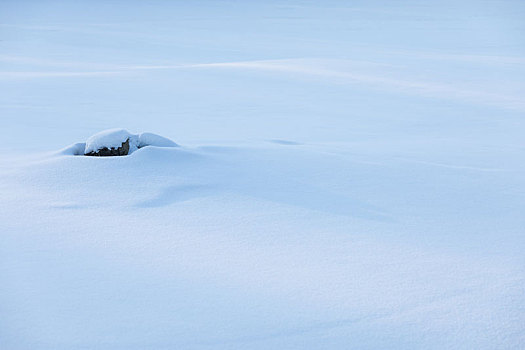 雪,雪痕