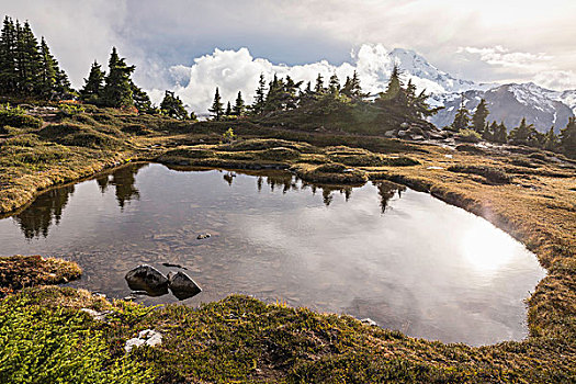 水塘,贝克山,华盛顿,美国