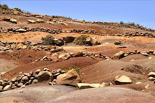 小,墙壁,石头,防护,腐蚀,山峦,国家公园,埃塞俄比亚
