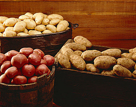 静物,种类,土豆