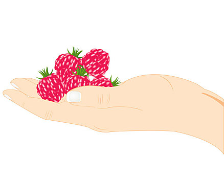 树莓,手掌