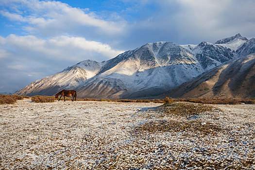新疆雪山与公路美景