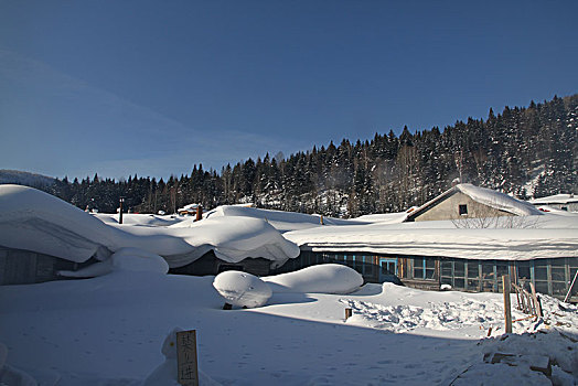 哈尔滨,雪乡,雪景,北方