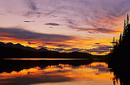 湖,日落,荒野,北方,落基山脉,不列颠哥伦比亚省,加拿大