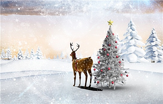 合成效果,图像,圣诞树,驯鹿