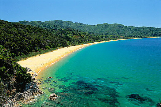 海滩,国家公园,南岛,新西兰