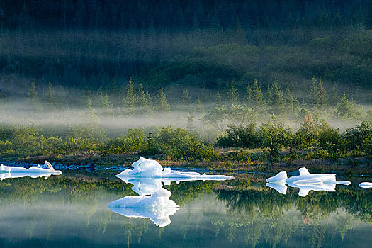 湖,冰山,晨雾,奇奈峡湾国家公园,肯奈半岛,阿拉斯加,夏天