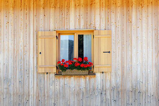 窗,木屋,帘,天竺葵,正面