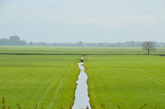 荷兰,农田