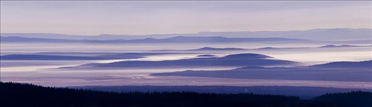 剪影,树,山脉,背景,火山湖国家公园,俄勒冈,美国
