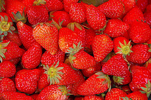 一堆的草莓