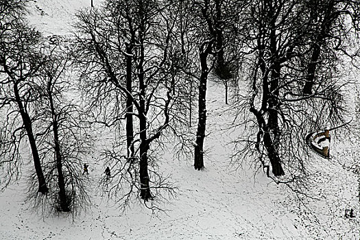 航拍,雪,山,肯辛顿花园,伦敦,英国