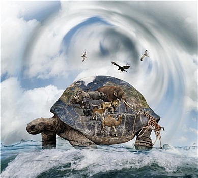 世界,海龟,概念