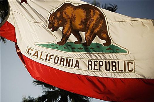 仰视,加利福尼亚共和国,旗帜