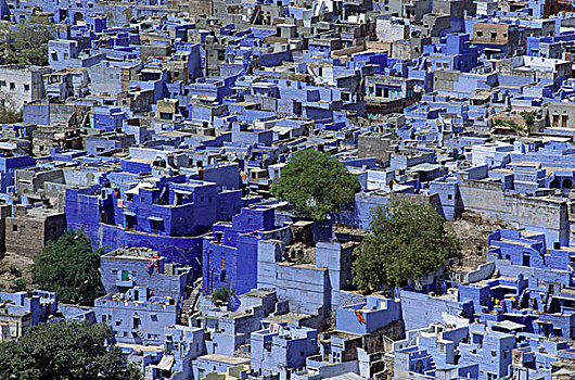 房子,蓝色,靛蓝,涂绘,墙壁,绿叶,树,城市