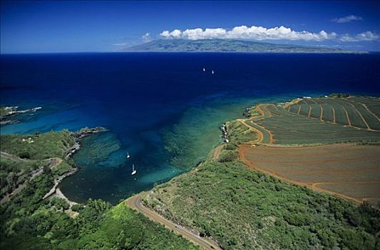 夏威夷,毛伊岛,西部,岸边,俯视,湾,卡帕鲁亚湾,区域,莫洛凯岛,远景