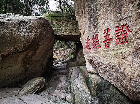 普陀山-西天景区