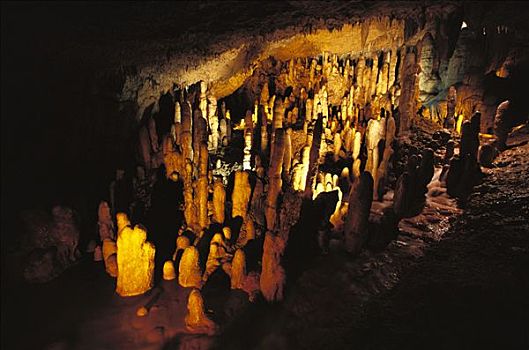 洞穴,展示,钟乳石,石笋,巴巴多斯,加勒比海