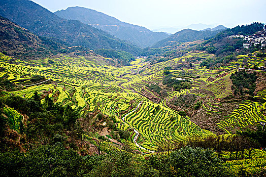 婺源县篁岭