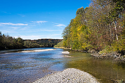 伊萨河,河,自然保护区,上巴伐利亚,巴伐利亚,德国,欧洲