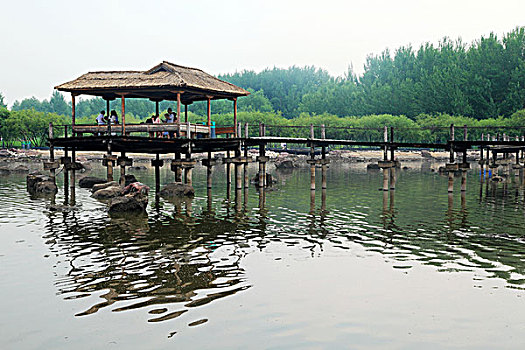 太阳岛风光