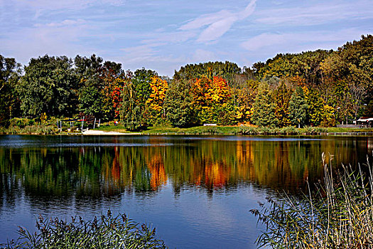 采石场,水塘,秋天,因格尔斯塔德特,巴伐利亚,德国,欧洲