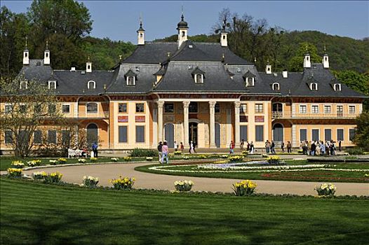 花园,宫殿,德累斯顿,萨克森,德国,欧洲