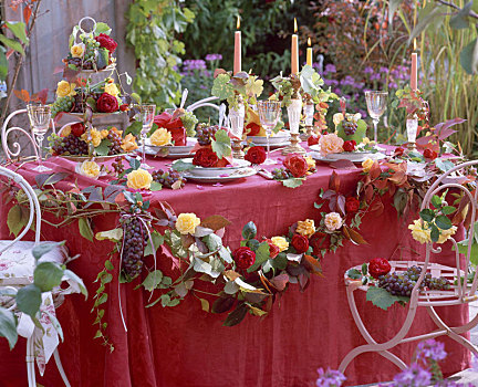 秋天,桌饰,玫瑰,葡萄