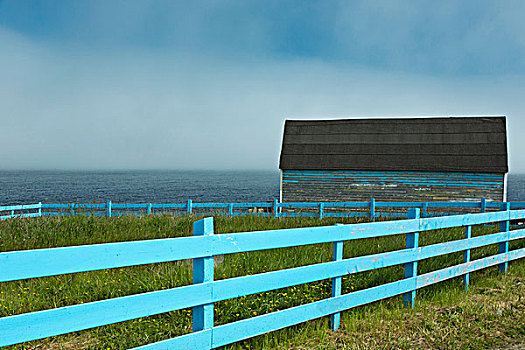 老,小屋,海洋,雾,接近,港口,靠近,湾,纽芬兰,加拿大