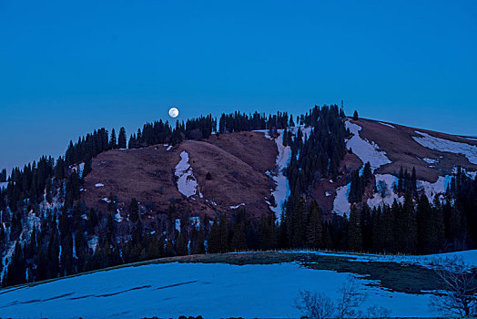 冬季林区夜里的月亮